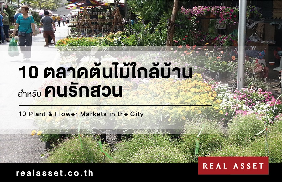 ตลาดต้นไม้ใกล้บ้านสำหรับคนรักสวน
