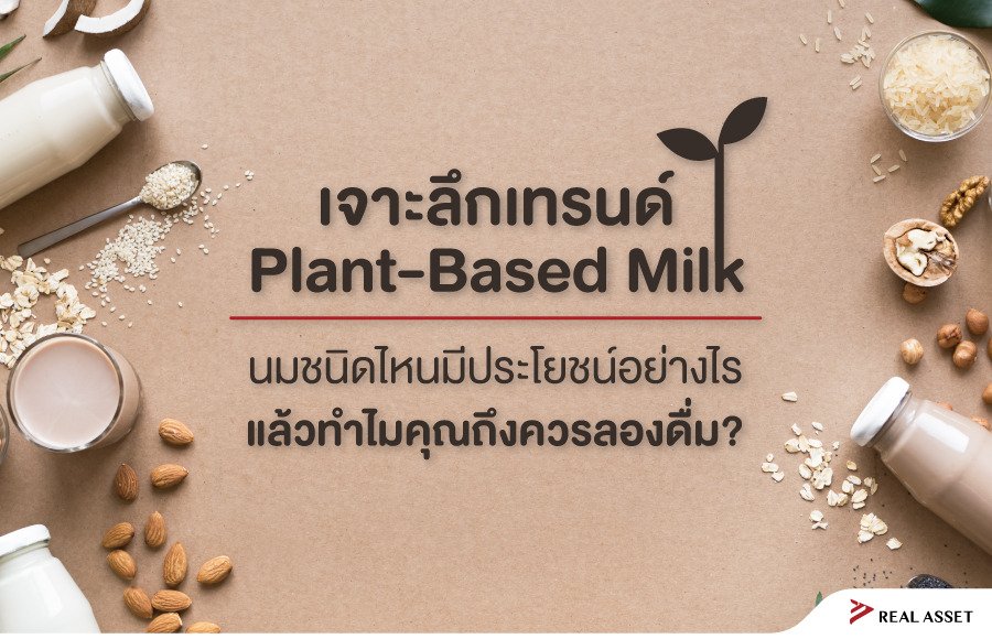 รู้จักนม Plant-Based 3 ชนิด ทางเลือกใหม่เพื่อสุขภาพ