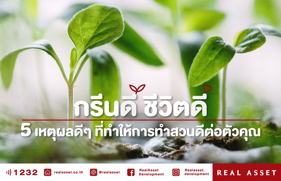 5 เหตุผลดี ๆ ที่ทำให้การทำสวนดีต่อตัวคุณ